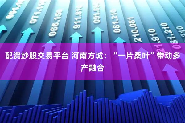配资炒股交易平台 河南方城：“一片桑叶”带动多产融合
