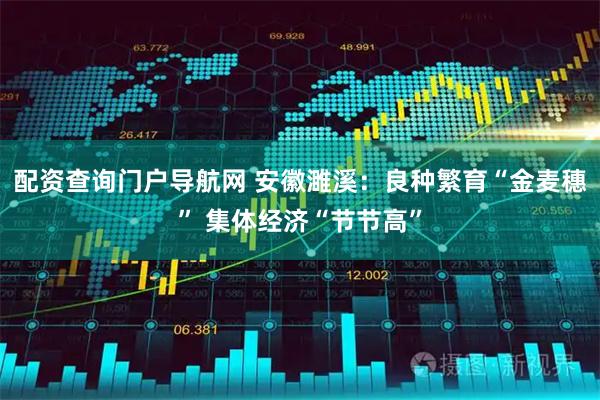 配资查询门户导航网 安徽濉溪：良种繁育“金麦穗” 集体经济“节节高”